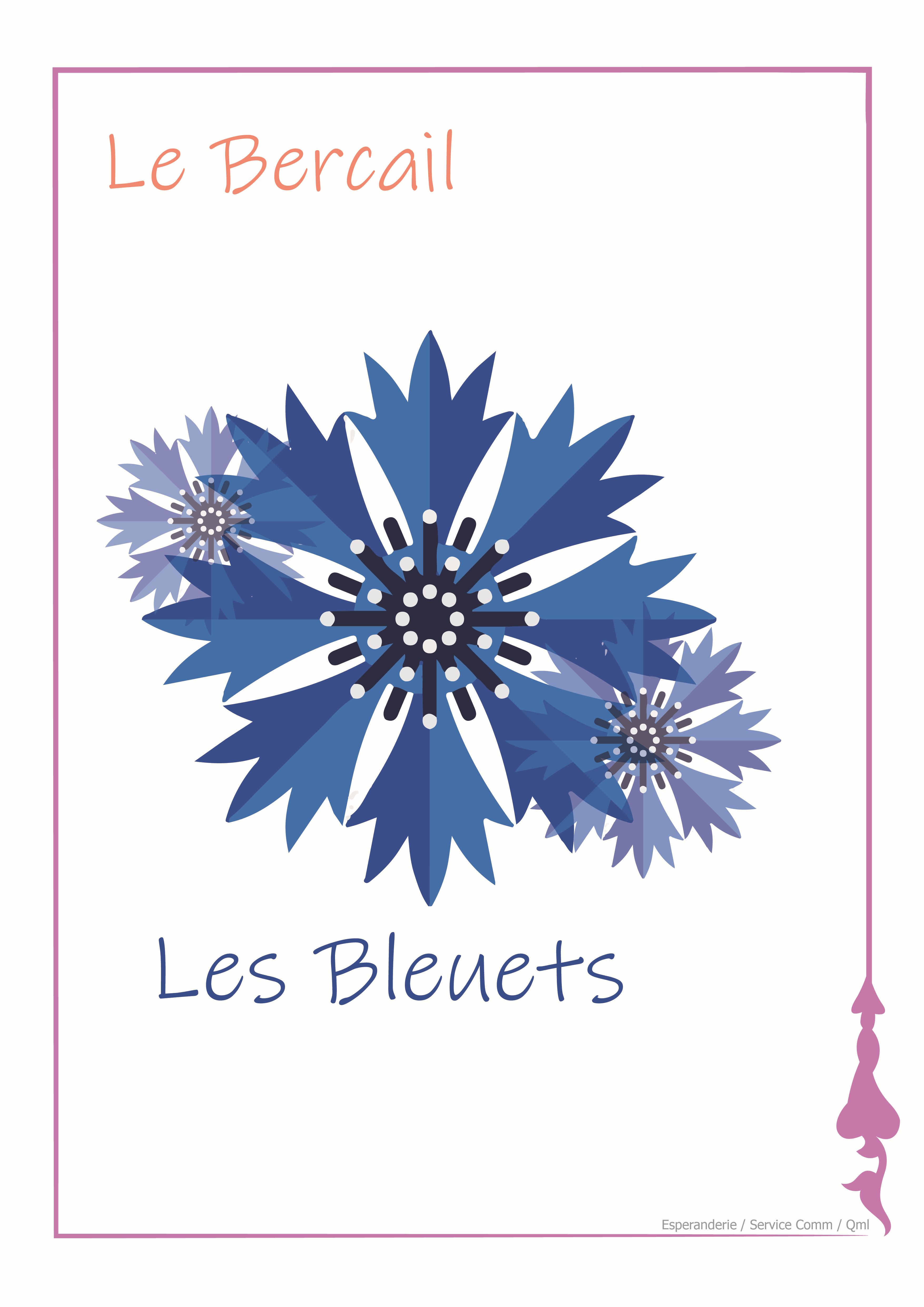 BLEUETS pour site