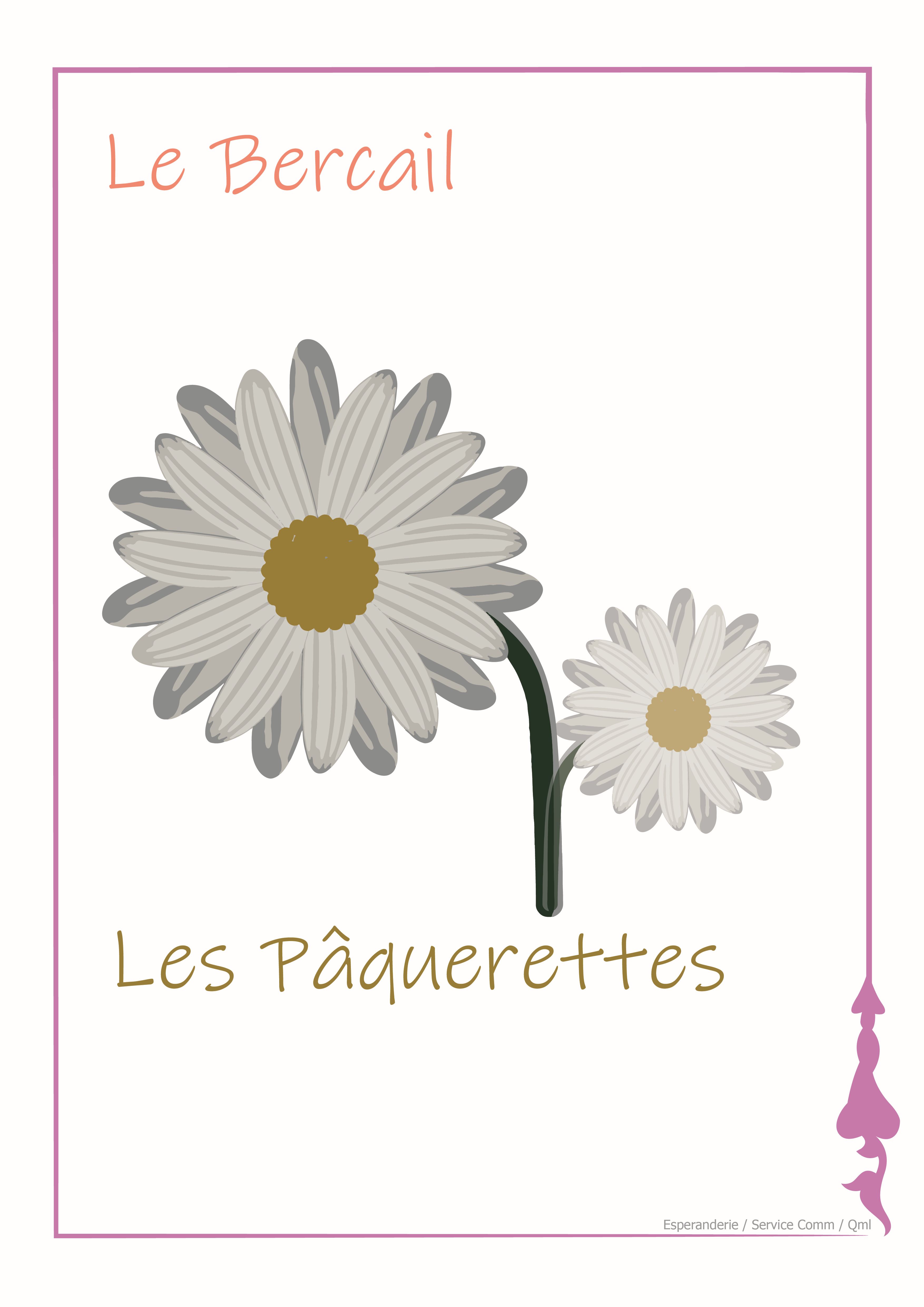 PAQUERETTES pour site